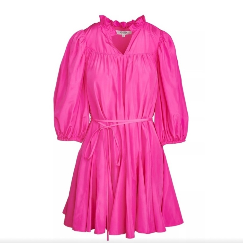 Crosby by Mollie Burch Silk Pink Dress XS - Picture 2 of 4